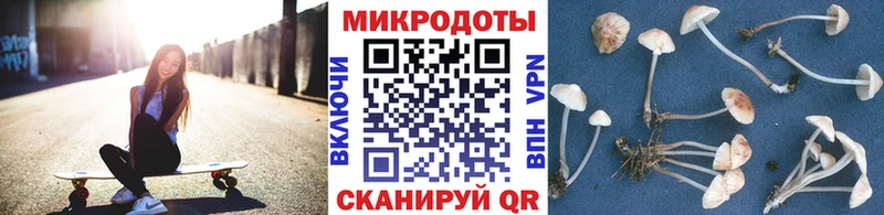 Псилоцибиновые грибы прущие грибы  наркотики  Зарайск 